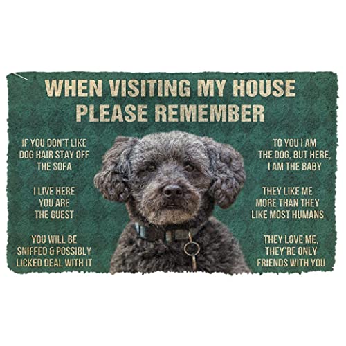 NA Fussmatte innen Bitte Denken Sie an die Schnoodle Dogs House Rules Fußmatte deko Wohnzimmer von N\\A