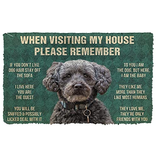 NA Fussmatte innen Bitte Denken Sie an die Schnoodle Dogs House Rules Fußmatte deko Wohnzimmer von N\\A