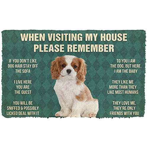 NA Fussmatte innen Bitte Denken Sie daran, DASS Cavalier King Charles Spaniel Dogs Puppy Dogs House Rules Custom Fußmatte deko Wohnzimmer von N\\A