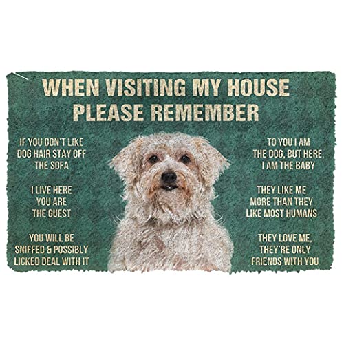 NA Fussmatte innen Bitte Denken Sie daran, Dandie Dinmont Terrier Dogs House Rules Fußmatte deko Wohnzimmer von N\\A