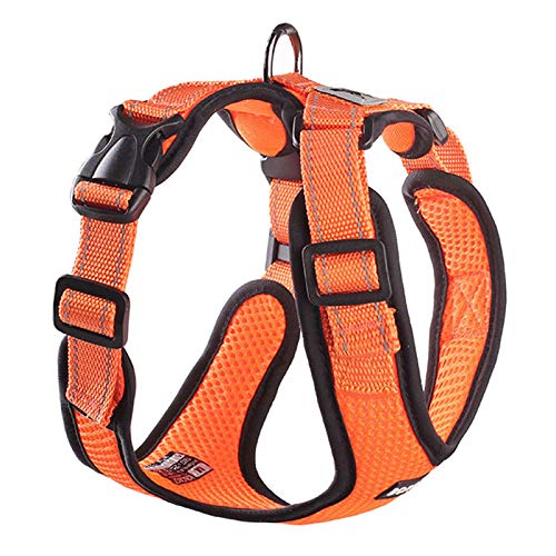 No Pull Net Hundegeschirr Atmungsaktiv Welpenweste Reflektierend Strahl für Kleine Hunde Verstellbar Haustier Trainingsbedarf Chihuahua Mops M Orange von N\A