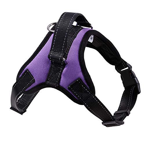 Nylon Heavy Duty Hund Haustier Geschirr Halsband Verstellbar Gepolstert Super Groß Mittlere Größe Kleine Hunde Geschirr Weste Husky Big Dog Produkt L 10 von N\A