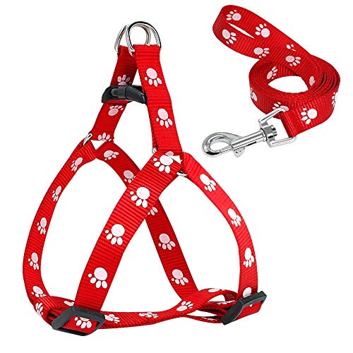 Nylon Hundegeschirr und Leine Set Verstellbar Hundegeschirr Walkingleine für Kleine und Mittlere Hunde S M LM Rot von N\A