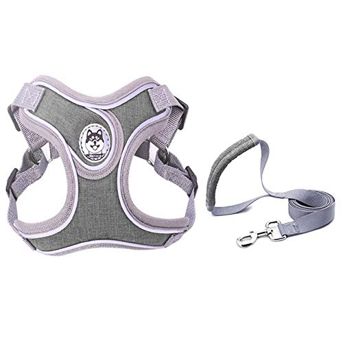 Reflektierende Hundeleine und Halsband für kleine Schnauzer, Haustiere, Katzen, Spaziergänge, Trainingszubehör, Chihuahua, XS, Grau von N\A