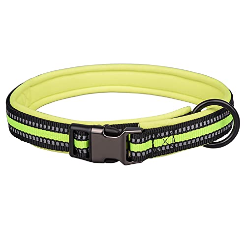 Reflektierendes Nylon-Hundehalsband mit Sicherheitsschnalle, verstellbare Haustierhalsbänder mit weicher Neoprenpolsterung für kleine, mittelgroße und große Hunde (L passt für Halsumfang 50-65 cm, grün) von N\A