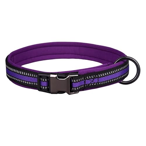 Reflektierendes Nylon-Hundehalsband mit Sicherheitsschnalle, verstellbare Haustierhalsbänder mit weicher Neoprenpolsterung für kleine, mittelgroße und große Hunde (M fit Halsumfang 42-55 cm, Lila) von N\A