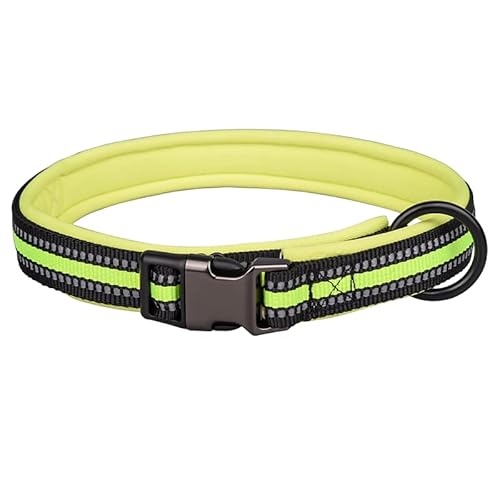 Reflektierendes Nylon-Hundehalsband mit Sicherheitsschnalle, verstellbare Haustierhalsbänder mit weicher Neoprenpolsterung für kleine, mittelgroße und große Hunde (M fit Halsumfang 42-55 cm, grün) von N\A