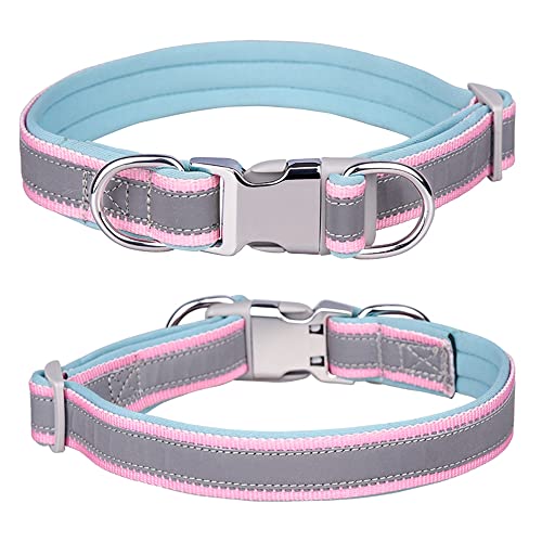 Reflektierendes Nylon-Hundehalsband mit Sicherheitsschnalle, verstellbare Haustierhalsbänder mit weicher Neoprenpolsterung für kleine/mittlere/große Hunde (S fit Halsumfang 26-42cm, Hellblau) von N\A