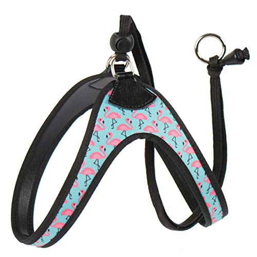 Stunt-Welpen einfach und bequem Hund Sicherheitsgurt gedruckt Flamingo-Muster kleines Haustier Sicherheitsgurt Chihuahua Shih Tzu Bulldog Hund Sicherheitsgurt 1,5 von N\A