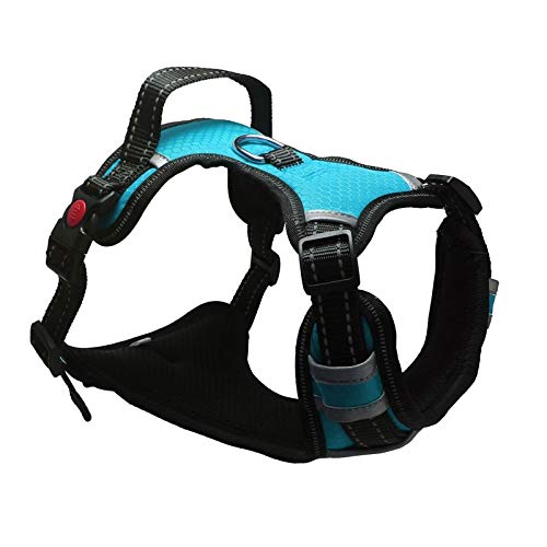 Verstellbarer passender Gürtel Halsband reflektierend Haustier Training Zubehör Nylon Big Dog Harness No Tension Medium Big Dog Harness Weste XL (Brustumfang 60-118cm) Blau von N\A