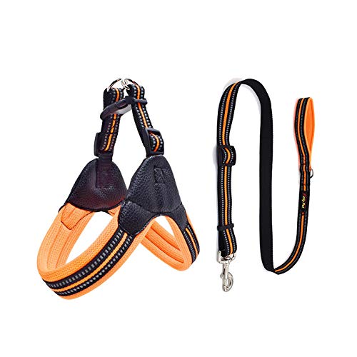 Atmungsaktiver Nylon-Netz-Hunde-Sicherheitsgurt, reflektierend, verstellbar, für Hunde und Haustiere, Halsband, Leine, Hundezubehör, Größe S, Orange von N\O