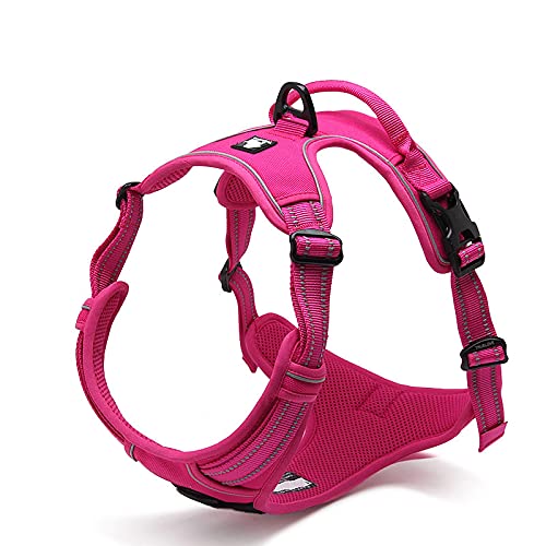 Reflektierendes Nylon Große Haustier Hundegeschirr Allwetter Füllung Einstellbar Sicherheit Hund mit Auto Leine M Fuchsia von N\O