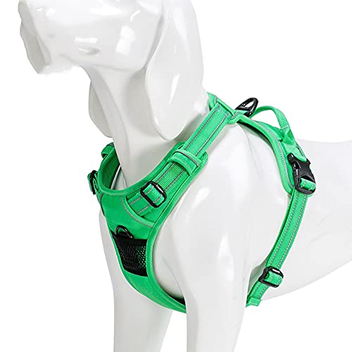 Reflektierendes Nylon-Hundegeschirr für große Hunde, rund um die Uhr, verstellbare Sicherheits-Auto-Leine, Leder, Größe 69–81 cm, Grasgrün von N\O