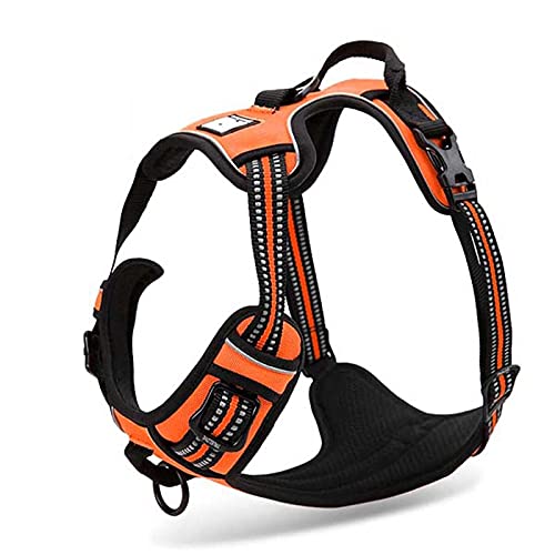 Reflektierendes Nylon großes Haustier Hundegeschirr rund um die Uhr Service Hund Clip Verdickt Verstellbar Sicherheit Auto mit Leine Leder Haustier XS33-43cm Brust Orange von N\O