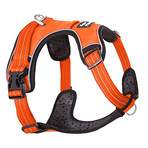 Strong Pet Dog Harness Dog Training Vest Medium Large Dog Adjustable Outdoor Protective Harness Collar Bulldog L Orange von N\O