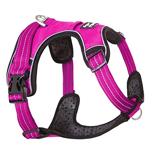 Strong Pet Dog Harness Dog Training Vest Medium and Large Dogs Adjustable Outdoor Protective Harness Collar Bulldog M Rose von N\O