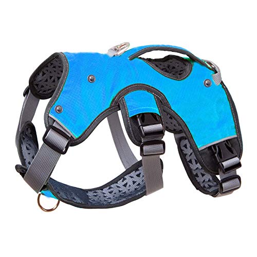 Strong Pet Dog Harness for Dog Training Vest Medium and Large Dogs Adjustable Outdoor Protective Harness Collar Bulldog XL Blue von N\O