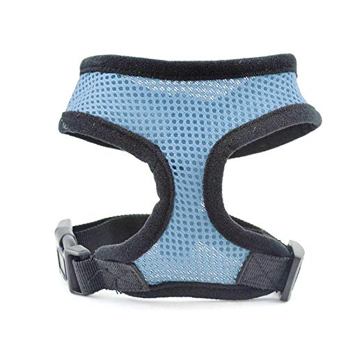 Hundegeschirr Verstellbar Weich und Atmungsaktiv Hundegeschirr und Leine Einstellung Hund Nylon Hundeweste Nylon Tuch Gurt S Himmelblau von N\X