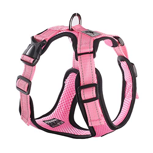 Kleine Hunde Verstellbar Haustier Training Produkt Chihuahua Mops XL Rosa mit Kein Ziehnetz Hundegeschirr Atmungsaktiv Welpenweste Reflektierender Strahl von N\X