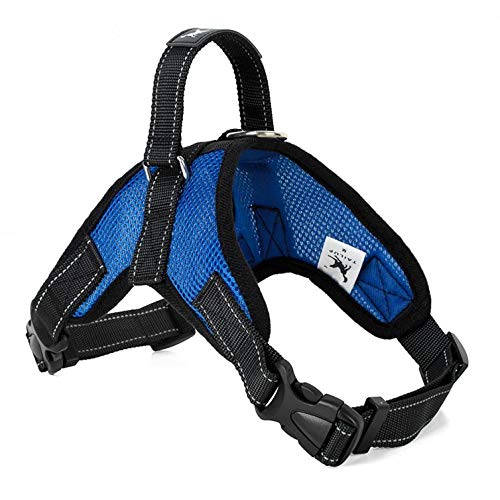 NX Dog Supplies Hundegeschirr Halsband Weste Hundegeschirr Haustierbedarf Geschirr Groß Mittel Klein L Mesh Blau Gießkäse von N\X