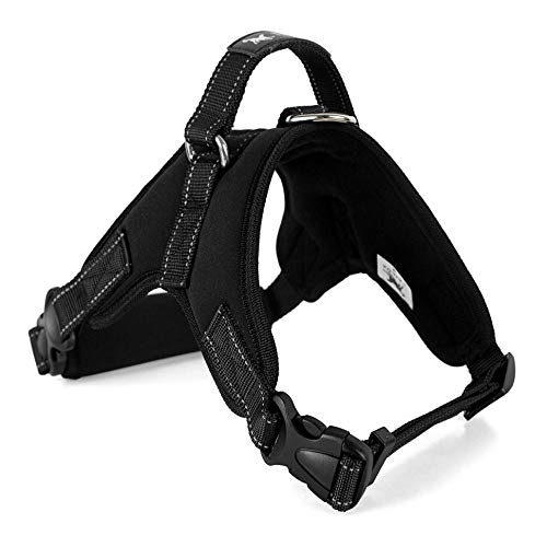 NX Dog Supplies Pet Dog Harness Collar Vest Dog Harness Pet Supplies Harnais pouring large medium small S neoprene black von N\X