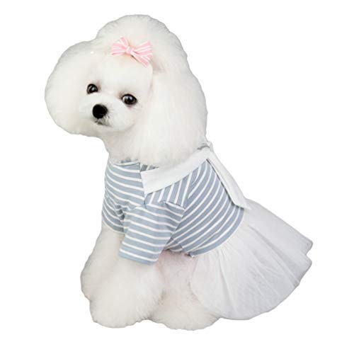 N / A Hund Kleid Tutu Rock Hund Prinzessin Kleiner Hochzeitskleid Sommer Hund Welpe Kostüm für kleine, mittlere Welpenrasse (Blau, M) von N / A