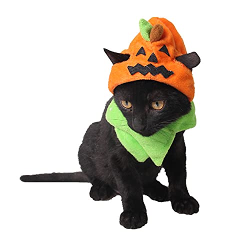 Kürbishut Halloween Hund Katze Pumpkin Kostüm Halloween für Hunde Katzen Cosplay Lustiges Kostüm von N - A