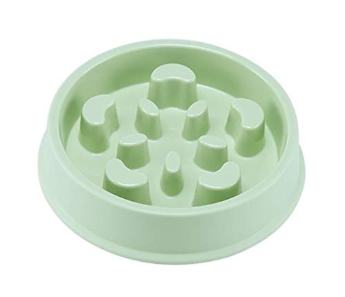 Pet Dog Futternapf Welpen Slow Food Futternapf zur Vermeidung von Fettleibigkeit Pet Dog Supplies green03 von N-X