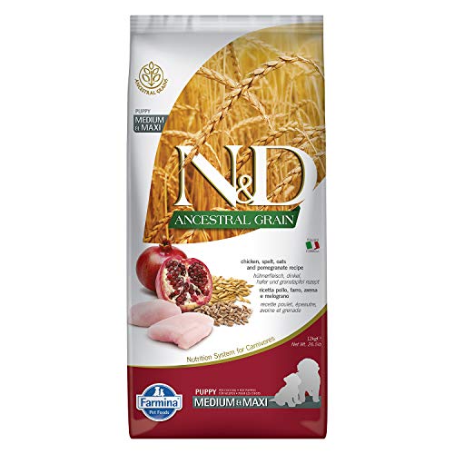 Farmina N&D ANCESTRAL GRAIN Pellets Hundefutter (Trockenfutter, mit hochwertigen Vitaminen und natürliche Antioxidantien, ohne Mais, Zutaten: Huhn, Dinkel, Hafer und Granatapfel, Portionsgröße: 12 kg) Farmina N&D ANCESTRAL GRAIN Pellets Hundefutter (Trockenfutter, mit hochwertigen Vitaminen und natürliche Antioxidantien, ohne Mais, Zutaten: Huhn, Dinkel, Hafer und Granatapfel, Portionsgröße: 12 kg) von N&D