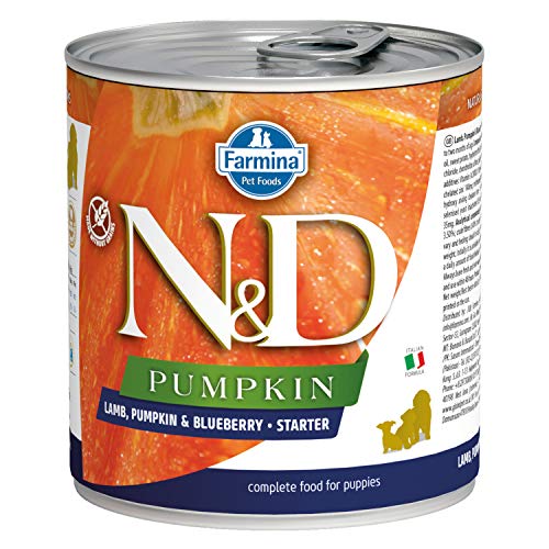 Farmina N&D Pumpkin Pastete Hundefutter (Nassfutter, mit hochwertigen Vitaminen und natürliche Antioxidantien, ohne Mais, Zutaten: Lamm und Heidelbeere, Portionsgröße: 285 g) von N&D