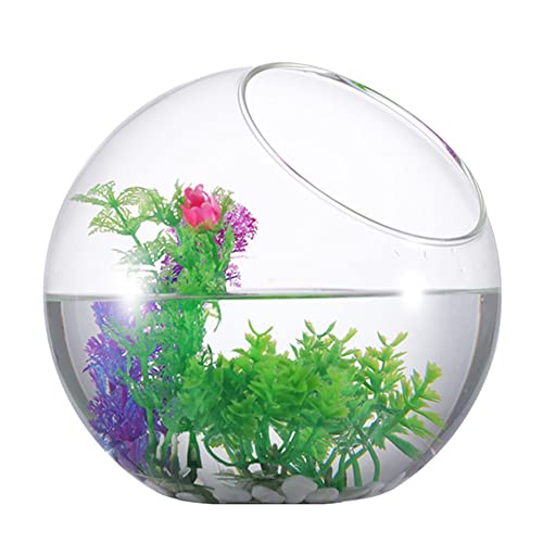 Glasfischglas, Desktop-Aquarium, Kreatives Goldfischglas, Rundes Glas-Aquarium Hydroponische Vase, Desktop-Mini-Aquarium von N.F