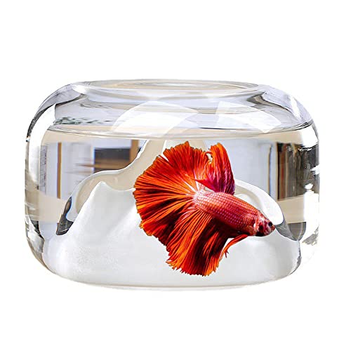 Glasfischglas, Desktop-Aquarium, Neues Rundes Kleines Glassteingarten-Aquarium Schneeberg Landschaftsbau Kreative Betta Aquarium Desktop-Dekoration von N.F