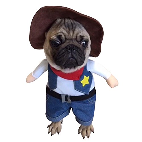 NACOCO Cowboy Hundekostüm mit Hut Hundekleidung Halloween Kostüme für Katze und kleine Hunde (groß) von NACOCO