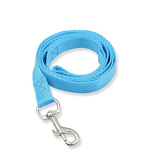 Hundeleine zum Trainieren 120 cm * 1,5 cm Nylon Haustier Hundeleine Hundehalsband Walking Training Leine Katzen Hundegeschirr Hundeleine(Blue) von NADCFN