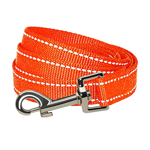 Hundeleine zum Trainieren 3M Hundeleine für kleine mittelgroße Hunde im Freien, Hundehalsband und Leine, Haustiere, Katzen, Hundeseil Hundeleine(Orange,1.5cm x 150cm) von NADCFN