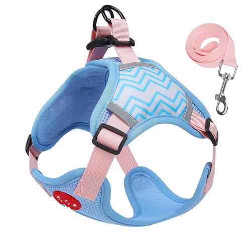 Hundeleine zum Trainieren Hundegeschirr-Leine-Set, reflektierendes, atmungsaktives Haustiergeschirr für kleine Hunde und Katzen Hundeleine(Blue,L 7-10kg) von NADCFN