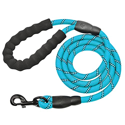 Hundeleine zum Trainieren Hundeleine Nylon-Hundeleine für kleine, mittelgroße und große Hunde Hundeleine(Blue) von NADCFN