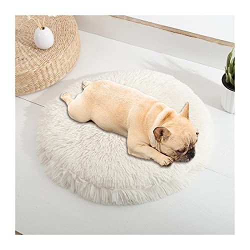 NADCFN Katzenbett Hundekissenbett Haustiersofa für Katzenhundehausbett Runde Katze Winter warmes Bett Haustierbetten Hundematte(Pad-White,40cm) von NADCFN