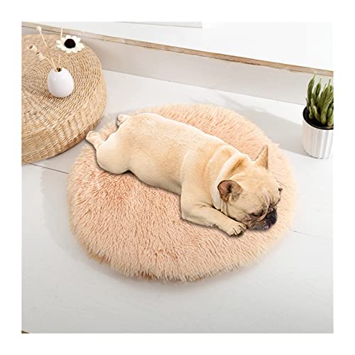 NADCFN Katzenbett Hundekissenbett Haustiersofa für Katzenhundehausbett Runde Katze Winter warmes Bett Haustierbetten Hundematte(Pad-apricot,40cm) von NADCFN