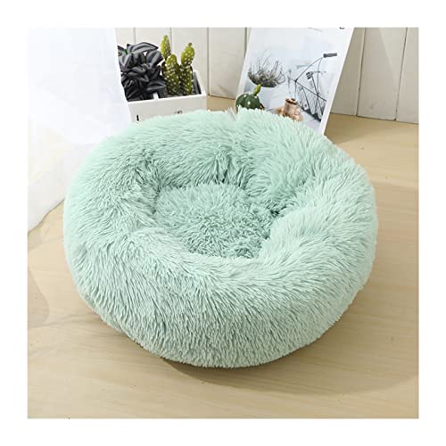 NADCFN Katzenbett Katzenbett Hundebett Haus Zwinger Haustiermatten Weiche Lange Plüschmatte Haustier Warmes Korbkissen Katzenhaus Hundematte(Fruit Green,XXL 100cm) von NADCFN