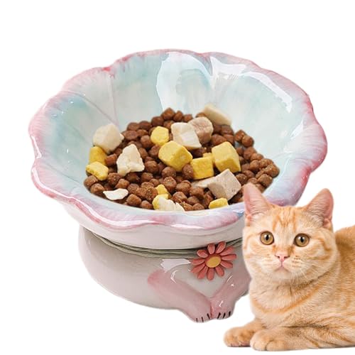 Erhöhter Katzennapf aus Keramik,Erhöhte Katzennäpfe für Hauskatzen - Schräger Katzennapf, erhöhter Futternapf für Haustiere - Futternapf für Haustiere, erhöhter, um 15° geneigter, erhöhter von NAIYAN