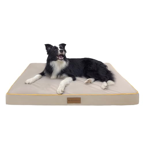 Hundebett, rechteckig, Kissen für Hunde und Katzen, Hundekissen, Anti-Stress, mit Reißverschluss, maschinenwaschbar, Beige, 70 x 50 cm von NAKLULU