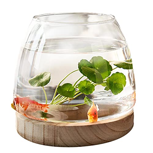 Hydrokultur-Pflanzenvase, transparente Holzstütze, Glasvase, Schüssel, Hydrokulturvase, ökologisches Aquarium, Blumenvase für Mittelstück Nakylucy von NAKYLUCY