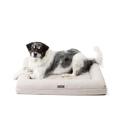 NANDOG Pet Gear Hundebett aus Memory-Schaum – orthopädisches Plüschkissen für bequemes Schlafen, waschbarer Bezug – ideal für Hunde mit Gelenkschmerzen, Arthritis (Off-White Elfenbein, groß) von NANDOG