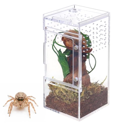 Springspinnengehege Insektenterrarium Acryl Spinnenkäfig mit Tür vorne öffnende Tür Springspinnen Lebensraum Arboreal Gehege für Vogelspinne Betende Mantis Kleine Baumbewohner Reptilien (klein) von NANEEZOO