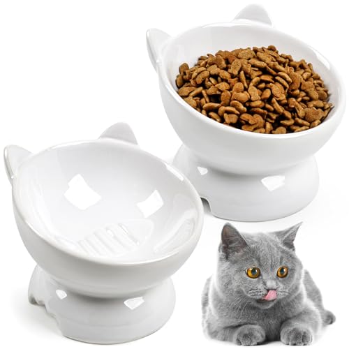 Katzennäpfe für Indoor-Katzen, erhöhte Futternäpfe für Futter und Wasser, Keramik-Schnurrhaar, Müdigkeit, Katzennäpfe gegen Erbrechen, für Haustiere, Kätzchen, Katzen, Hunde (2 Stück) von NAODONGLI