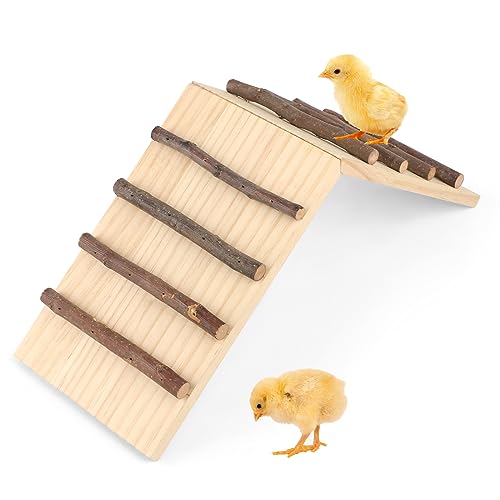 Chick Barsch & Küken Spielzeug für Stall, 2 in 1 Küken Brooder Roost Trainer, Holz Küken Trainingsständer für Baby Küken, Hühner, Kleintiere von NATURE Ann