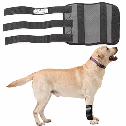 Nature Pet Sport Gelenk Bandage für Hunde Gelenk- & Knochenschutz für Hunde - geeignet für Rettungs- und Diensthunde oder Agility, Flyball und Hunde Frisbee - Bandage Hund Vorderbein bei leichter Arthrose oder Leckschutz und Verbandschutz nach OP (L) von Nature Pet