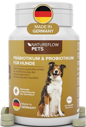Probiotika Darmsanierung für den Hund - Premium Qualität Made in Germany - Probiotika Hund - 120 Tabletten für verbesserte Verdauung & Immunsystem - Hund Darmflora aufbauen mit Natureflow Pets von NATUREFLOW
