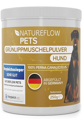 Grünlippmuschel Hund TESTSIEGER - 250g natürliches Grünlippmuschelpulver für Hunde - Unterstützung der Gelenkfunktion - Grünlippmuschel für Hunde mit Hoher Akzeptanz - Grünlippmuschelpulver Hund von NATUREFLOW